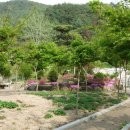 소백산향기나라 이미지