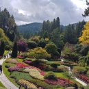 에덴피시 | 캐나다 밴쿠버여행 빅토리아 당일투어 추천 내돈내산 후기 및 가격,최저가 예약 방법