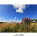 빨간창고 이미지