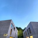 대전 수통골 카페 공간태리 방문 후기 / 숲 뷰가 아름다운 카페