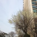 도드림푸드 이미지