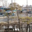 명마주유소 티스토리