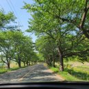 청도농협주유소 이미지