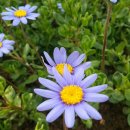 자연닮은부부한의원 이미지