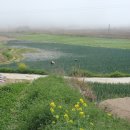 문배농장 이미지