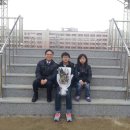 마포중학교 Daum카페