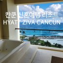 지바 | 칸쿤 신혼여행 리조트 추천 하얏트지바 후기 조식 수영장 룸서비스 총정리 (+ 레스토랑 맛집 TOP 3 추천...