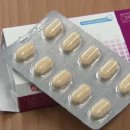 스페셜독 이미지