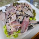 댕마카세 이미지