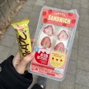 쪼로롱 짹째굴 쪼로롱 짹째굴