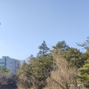 백운천 유원지 이미지