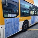 과일나라앨리스광주