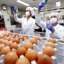 덕연농장 이미지