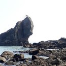 용바위민박 이미지