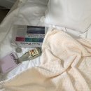 오피스피크닉 이미지