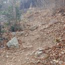 장군산길 이미지