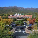 과천시청 내 이미지