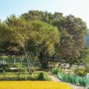 진양자원 | 임금이 병풍을 하사한 &#39;한림면 어병마을&#39;