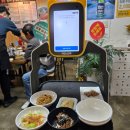 돌산아나고 이미지
