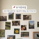 유가양과점 이미지