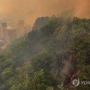 대구매천초등학교 이미지