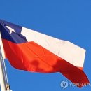 디트리오 이미지