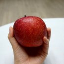 현서면 요가 | 청송사과농장 햇살농원 사과직거래 꿀맛이예요