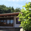 오분길 민박 이미지