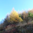 방곡토속식당 이미지