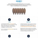 군산박대사업단