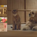 우리뷰 주식회사