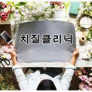 둔산이내훈의원 이미지