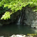 숲속의 하루 이미지