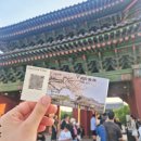 서울고궁투어, 창경궁 인문학산책｜황인혁교수 직강｜창경궁 야간개장 즐기며 역사해설 듣고왔어요~