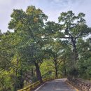 중벌리 밤티명품마을 이미지