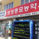 대야종묘농약사 이미지