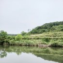 들꽃펜션 | 기장 펜션으로 선택한 들꽃도자펜션, 제대로 힐링하고 온 후기