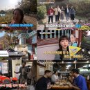 대한여행사 - 원주시 무실로 182 | 대한여행사