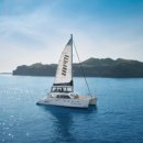 돌고래하우스 이미지