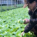 태전농장 이미지