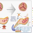 The Commun 이미지