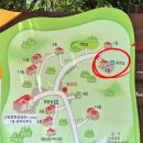 팔영산자연휴양림주차장 이미지