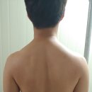 바른자세활법
