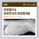 보문역동물병원 강아지 방광결석, 방광경 보조 방광절개술로 치료한 아미의 케이스