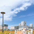 콩이네 이발소 이미지