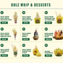 의지농장 | 하와이태교여행 오아후 가볼만한 곳 돌플랜테이션 파인애플농장