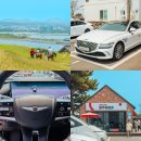 제주 렌트카 업체 제주속으로 유레카 제네시스 후기