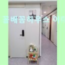 꼼배꼼하우스