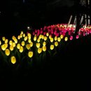 태양전기조명 | 정원에서 빛나는 LED 태양광 꽃 조명 후기