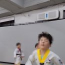 용인대백호태권도장 이미지